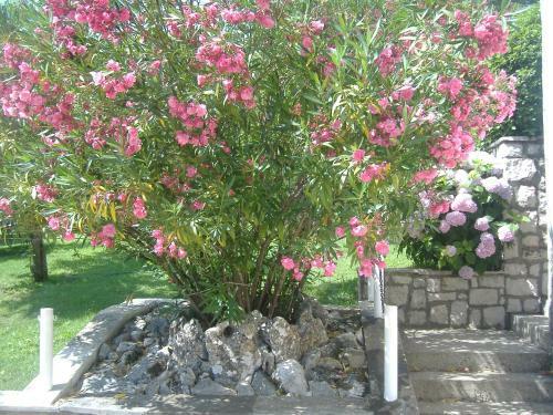 Hostal Villa Meca