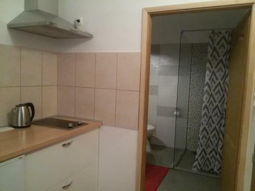 Apartment Mana