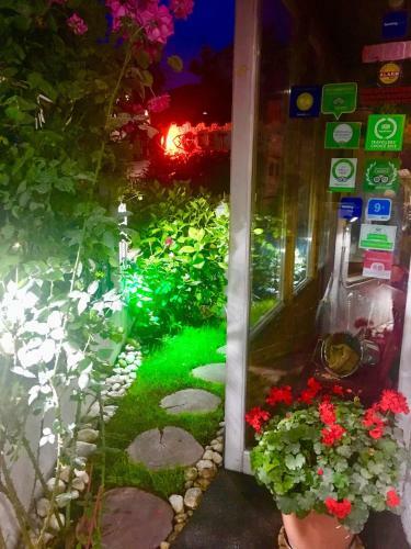 Posada Halvat Guesthouse