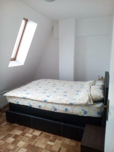 Apartment Condor