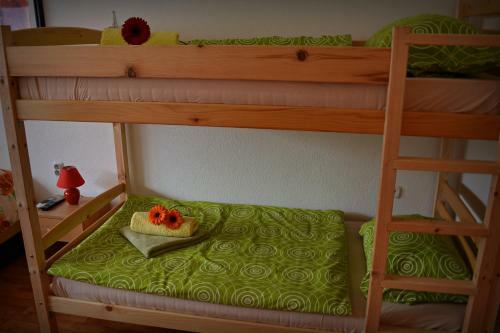 Apartment Lotika