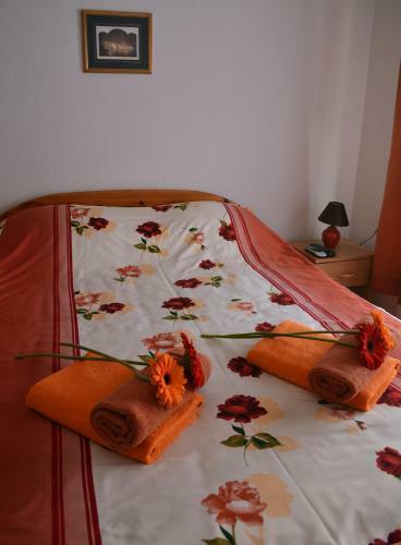 Apartment Lotika