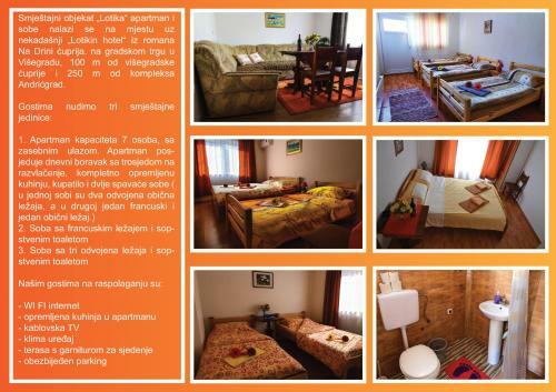 Apartment Lotika