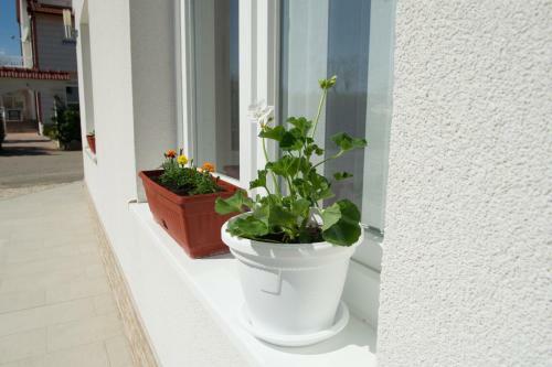 Hostal Guest House Mica