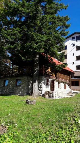 Chalet Tara