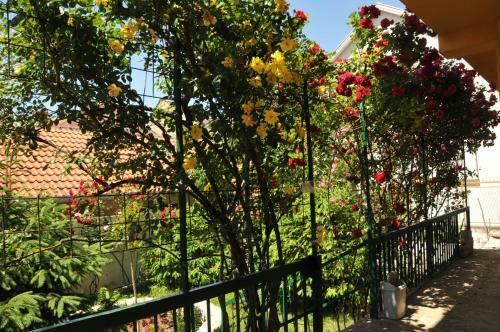 Hostal Guest House 3a