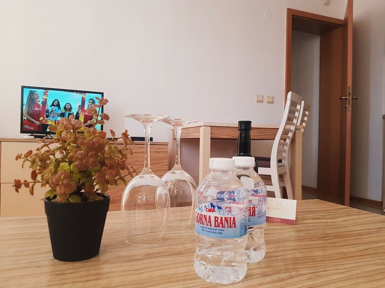 Guest Apartments Salena