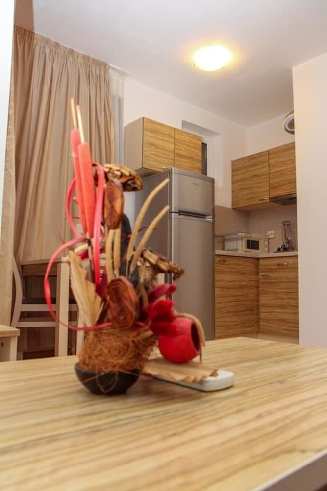 Guest Apartments Salena