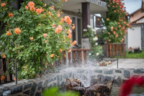 Hostal Guest House Via