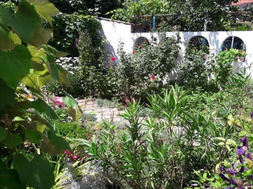 Hostal Family Hotel Vedrina