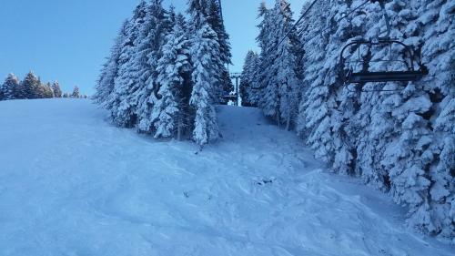 Apartamento Studio In Hotel Flora Borovets