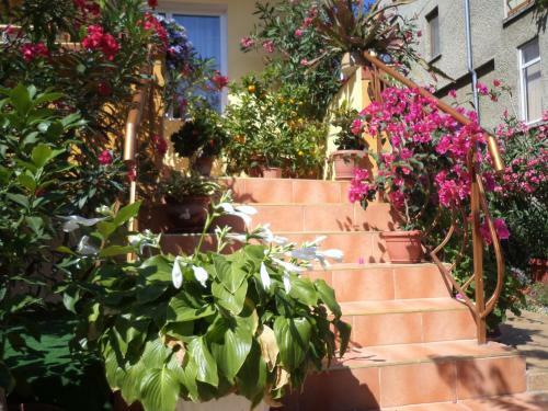 Hostal Guest House Stoyanovi