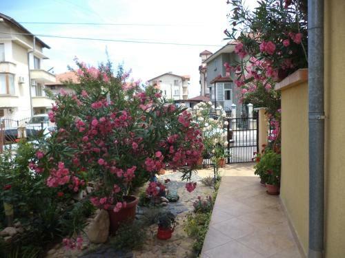 Hostal Guest House Stoyanovi