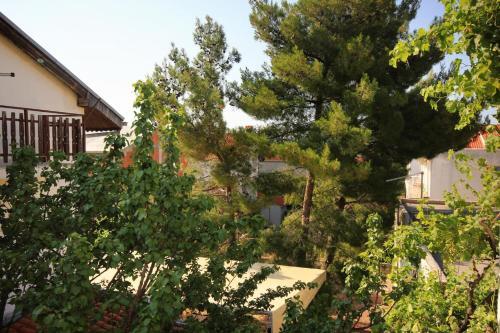 Apartment Orebic 266a