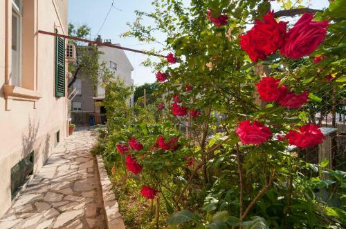 Apartment Vedrana
