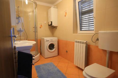 Apartment Rosa