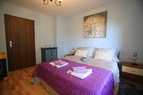 Apartment Rosa