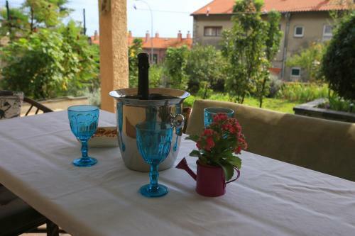Apartment Rosa