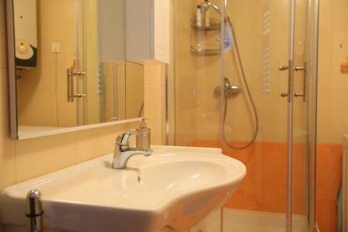 Apartment Rosa