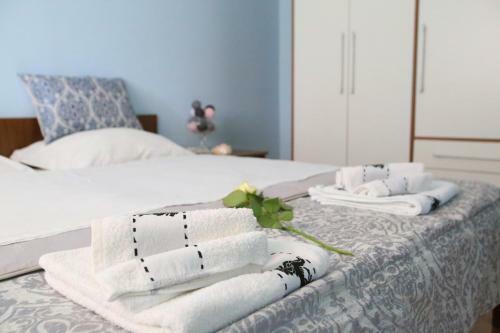 Apartment Rosa