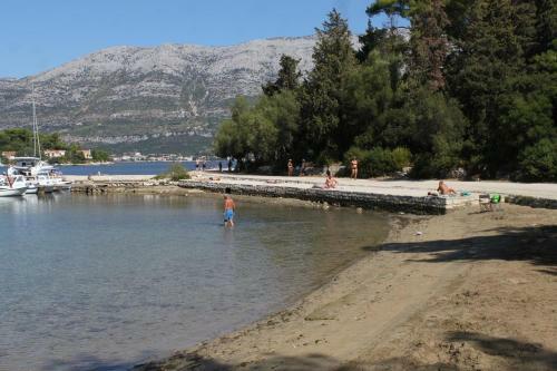 Apartment Korcula 6016a
