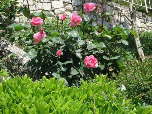 Hostal Peric Rooms Dubrovnik