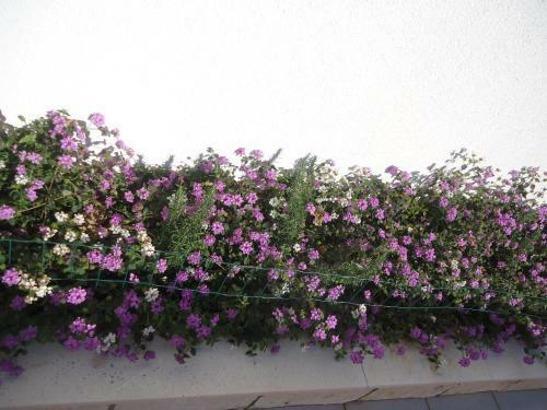 Hostal Peric Rooms Dubrovnik