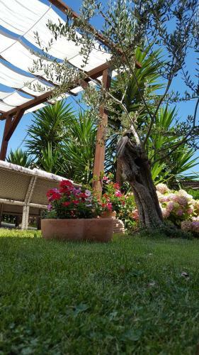 Hostal Apartments Kasalo