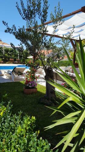 Hostal Apartments Kasalo