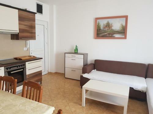 Apartment Braco