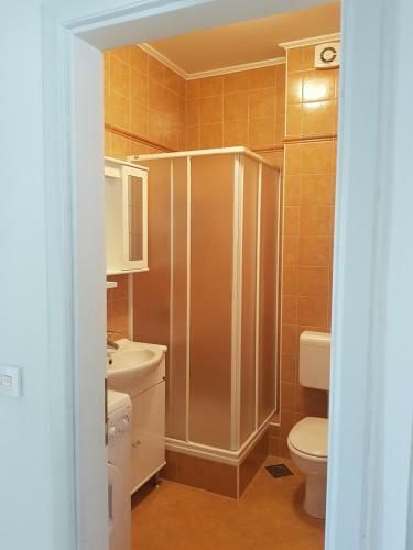 Apartment Braco