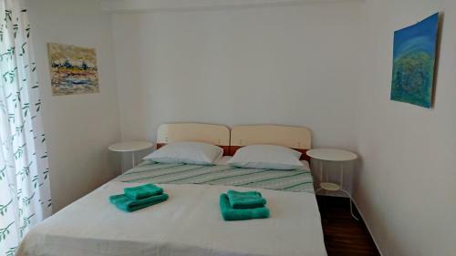 Apartments Rogo?ana