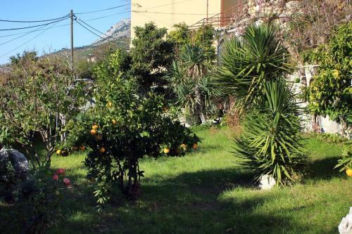 Apartment Sumpetar 9436a