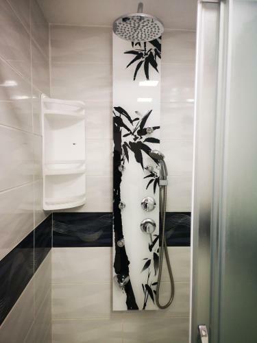 Apartment Decumana