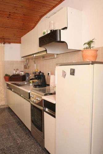 Apartments By The Sea Racisce (korcula) - 4362