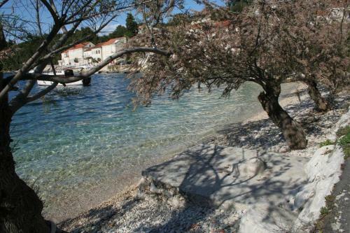 Apartments By The Sea Racisce (korcula) - 4362