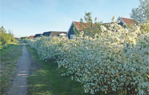 Tisvildelund Vejby Denm