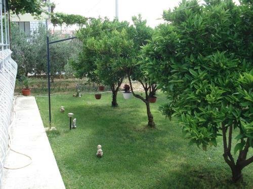 Apartment Meri