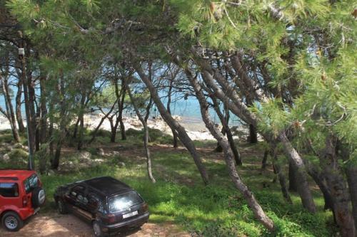 Apartment Jelsa 8729a
