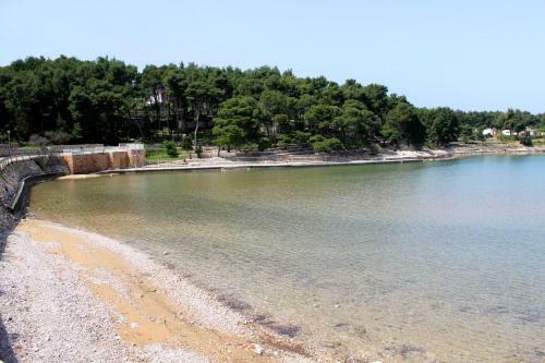Apartment Jelsa 8729a