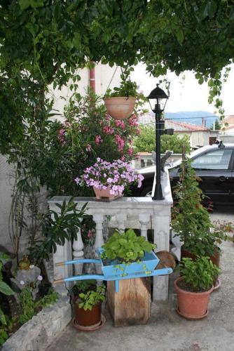 Apartment Novi Vinodolski 2417a