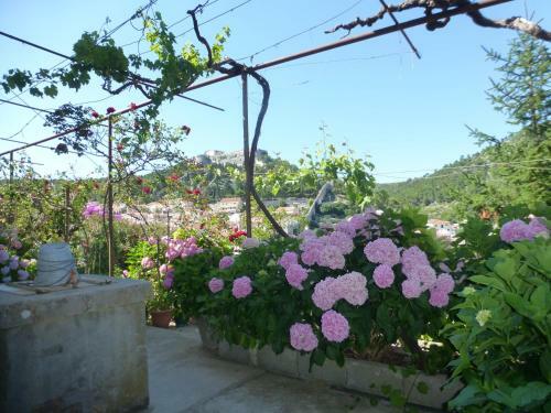 Hostal Guesthouse Bracanovi?