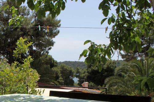 Apartment Mali Losinj 7996a