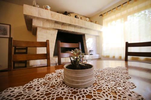 Apartamentos Villa Zub?i?