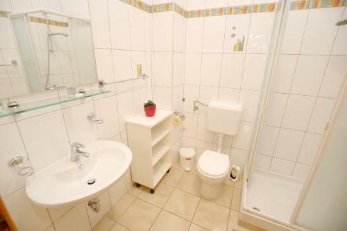 Apartamentos Villa Zub?i?