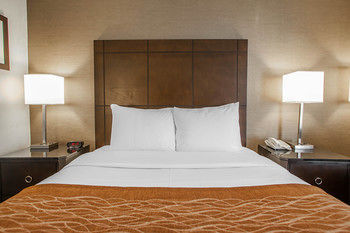 Hotel Comfort Inn Downers Grove