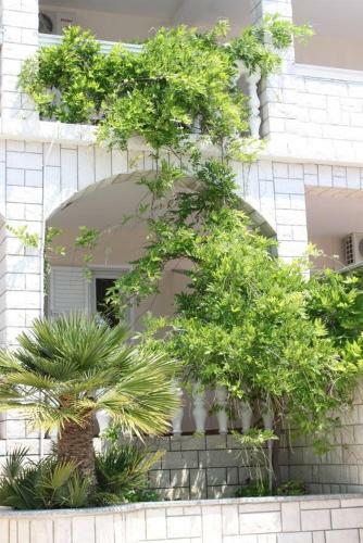 Apartment Stara Novalja 6469b