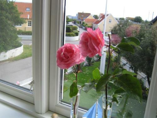Apartamento Skagen-vacation