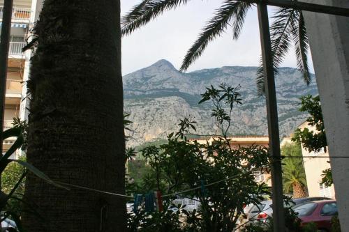 Apartments And Rooms With Parking Space Makarska - 6644