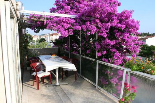 Apartments And Rooms With Parking Space Makarska - 6644